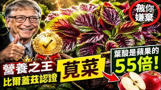 USDA 數據實錘 全世界營養最全面的蔬菜