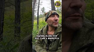Осенняя Тайга затаилась в предвкушении Зимы
