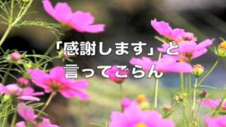 Vignette de la vidéo "ボクは信じているよ   　妃月洋子"