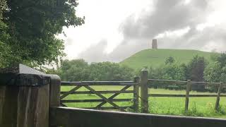 Gentle Rain Falling, Distant Thunder & Wind Blowing Through the Trees on a Wet Rainy Day in England