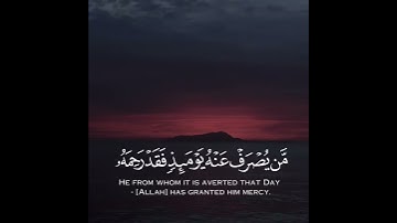 قرآن كريم بصوت عبد الملك الراجح / حالات واتساب قرآن /سورة الأنعام