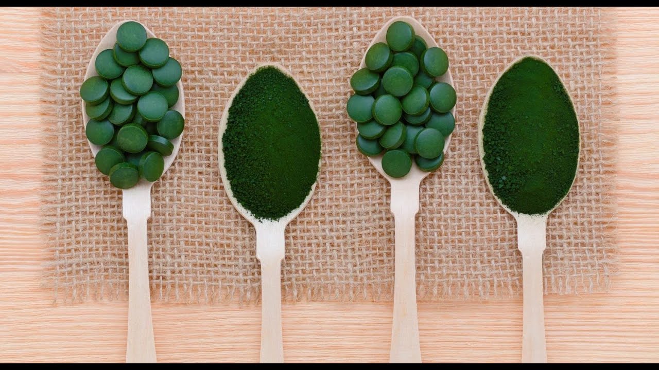 EL DOCTOR EN CASA TV - SPIRULINA: BENEFICIOS EN EL DEPORTE Y EN ADULTOS MAYORES