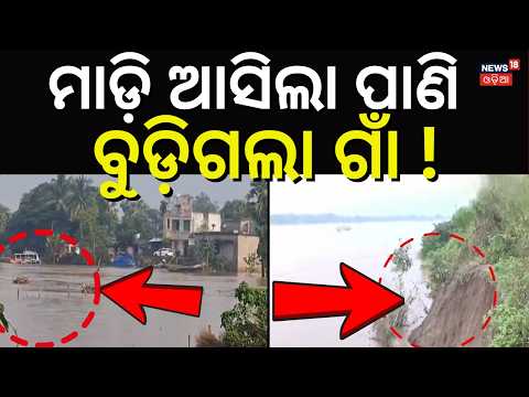Mahanadi Flood: 100 Feet Embankment Collapses, Over 100 Villages Under Threat | Puri Flood News
