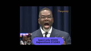 Brandon Johnson Releases the Facts on Chicago's Reparations  #news #chicago #reparationsnow #fba