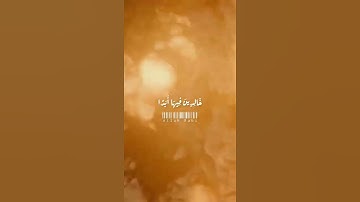 يسألك الناس عن الساعة ❤️ تلاوات خاشعة قصيرة 🧡القران الكريم💛 اسلام صبحي 💚Love Quran💙