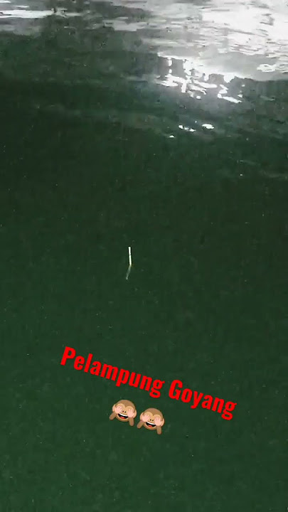 Pelampung Ajaib Bisa Goyang