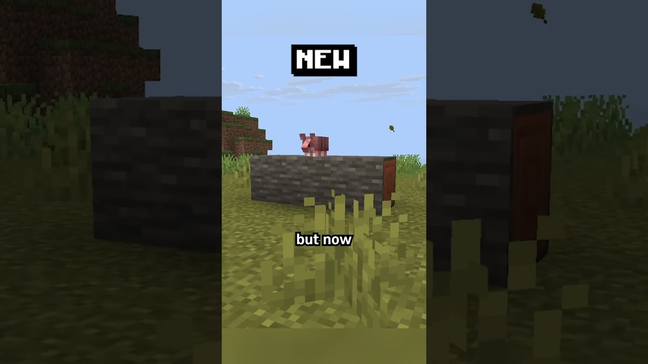 idk what to say about armadillo lol