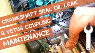 Crankshaft Seal Oil Leak, Vetus Coupling Bushings Replace & Gearbox Oil Cooler Fix on Volvo Penta