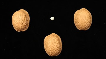 3 Shell Game - Pro Routine