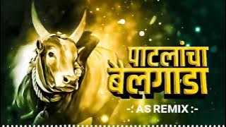 पाटलांचा बैलगाडा | PATLANCHA BAI G SOUND CHECK AS REMIX | DJ SMK