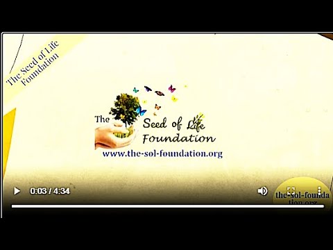 Effects of Fireworks | The Seed of Life Foundation