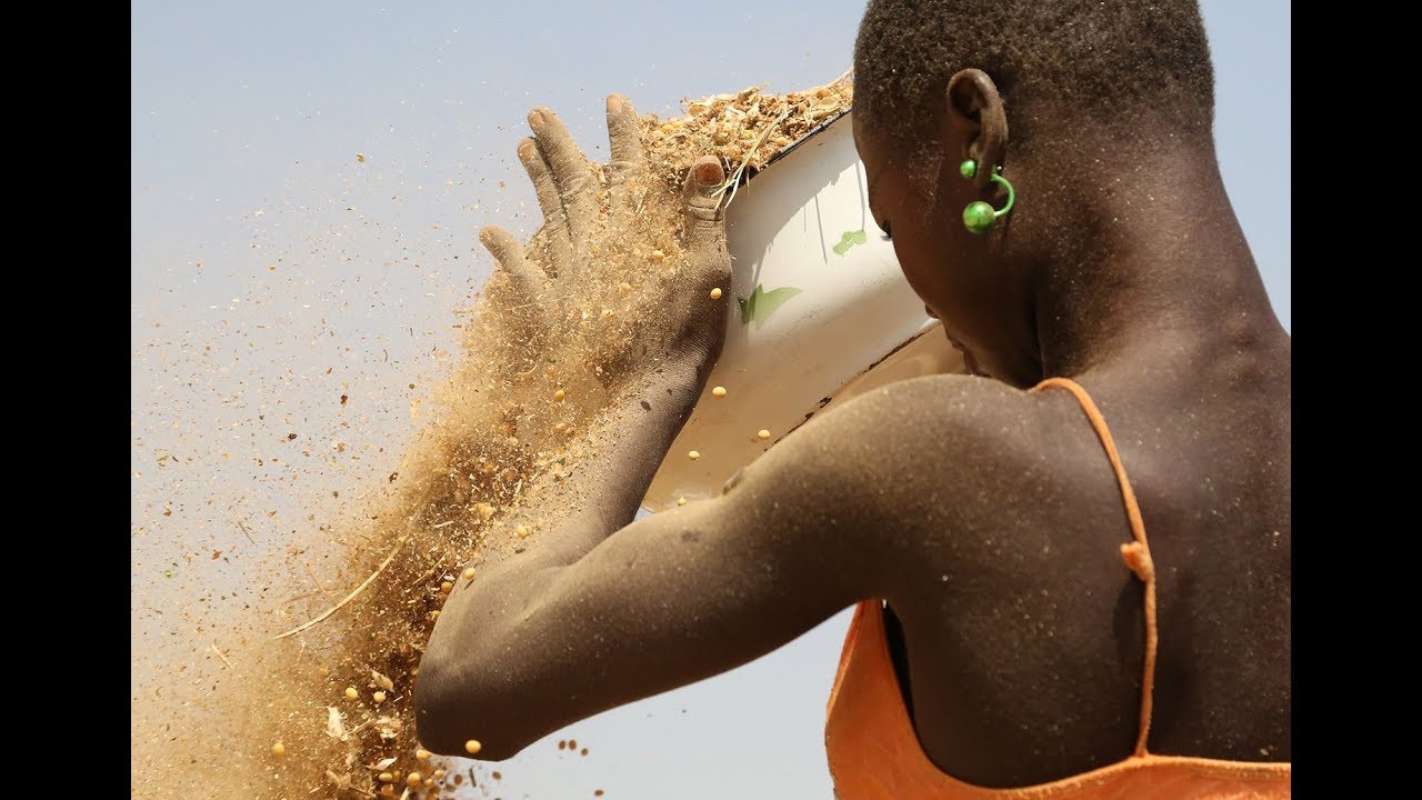 Togo - microprojets incubateurs d'initiatives solidaires