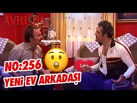 Avrupa Yakası 256. Bölüm | Kısa Bölümler