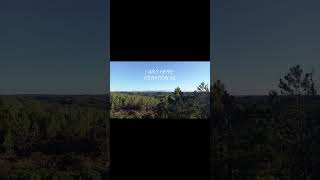 I Was Here, Iteration 1 A music project with nature as the collaborator?! July 12th