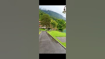 قرآن كريم بصوت ماهر المعيقلي اجر لي ولكم🌹🌹