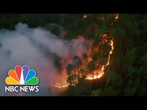 Siberia Threatened By Wildfires As Climate Change Permanently Changes Region - NBC News NOW.