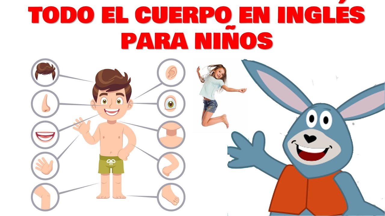 Aprendamos Las Partes Del Cuerpo En Ingls