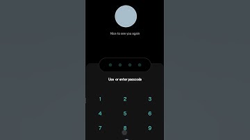 How to get your Multiversx address #DoctorX #Multiversx #Icenetworkupdate #XPortal #verification