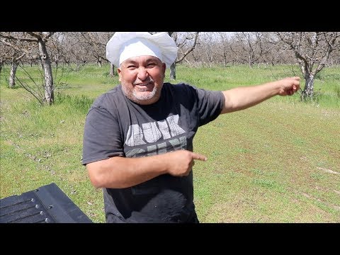wie ein Taco-LKW Burritos essen