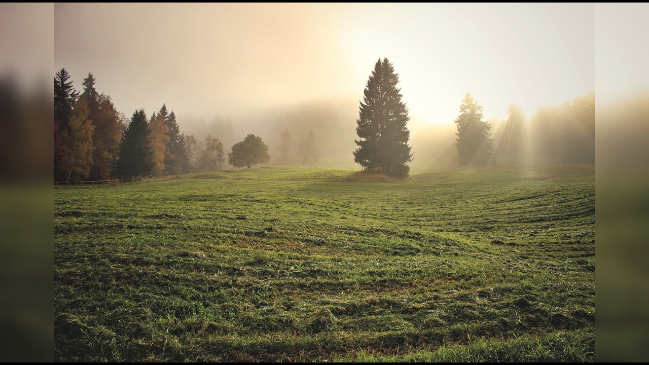 Grup Tezaur - Dumnezeu va lucra
