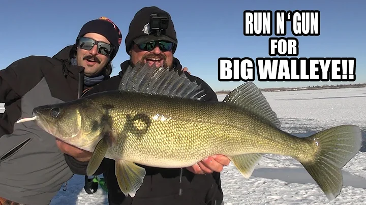 Searching for BIG Walleye | Walleye Camp Day 2