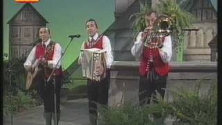 Stoakogler Trio - Steirermen san very good chords