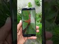 #samsung s7 edge,,Old"Camera^Test..2023