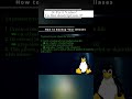 🐧 Linux CLI 🐧 How to Backup Your Aliases 🐧 #shorts #KGROSShorts #HowToLinuxCLI #Linux
