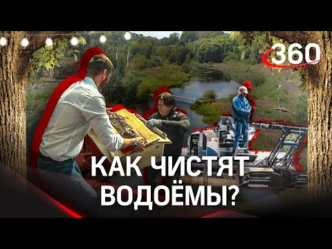 «Зелёное Подмосковье»: как в регионе чистят реки и пруды