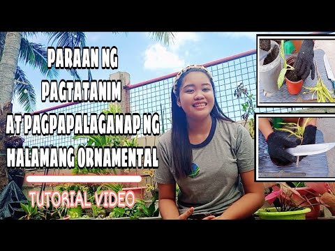 Video: Paano Pakuluan Ang Labada Sa Bahay: Sa Isang Kasirola, Na May Pulbos, Langis Ng Halaman At Iba Pang Mga Pamamaraan