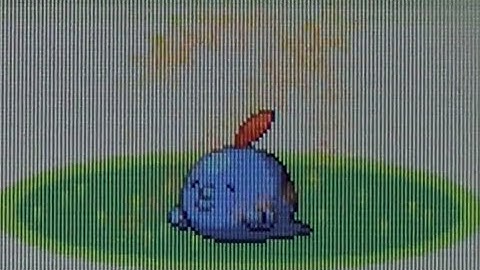 [ISHC + BQ #2] Live Shiny Gulpin After 15,221 REs! (Pokemon Ruby)