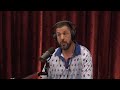 Adam Sandler: The Reality of Life as a Global Icon