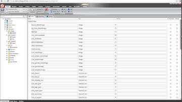 OpenText / RedDot Migration with Siteport