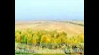 Уроки Музыки Белецкого_Любимые песни_Полюшко поле Уроки Музыки Белецкого_Любимые песни_Полюшко поле
