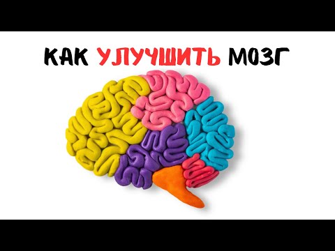 Раскрой потенциал мозга: как сохранить здоровье и остроту ума