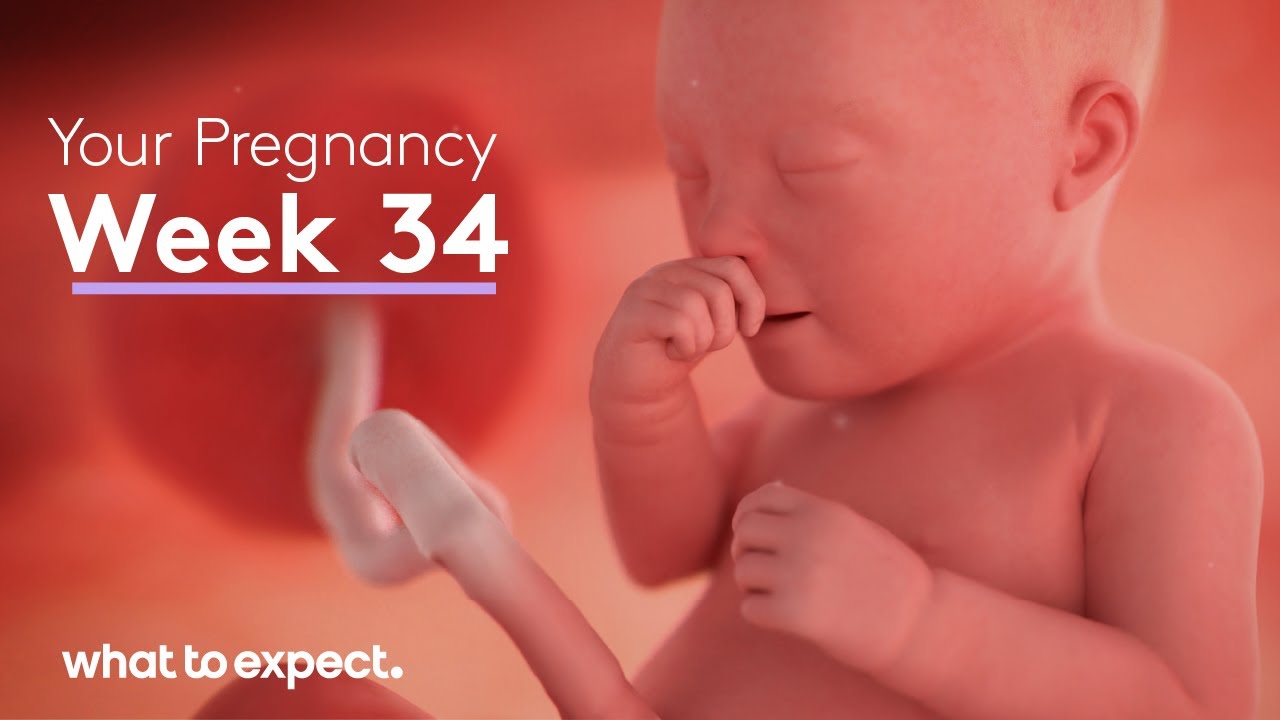 34 Weeks Pregnant What To Expect YouTube
