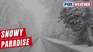 Snowy Paradise In Stafford Township, New Jersey