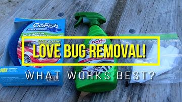 Using A Dryer Sheet To Remove Love Bugs From Your RV!