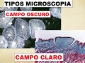 TIPOS DE MICROSCOPIA ( CAMPO CLARO Y CAMPO OSCURO )