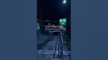 الصوت يبكي - أجمل حالات واتس اب قرآن كريم بصوت جميل جدا🌃🥹 | Quran