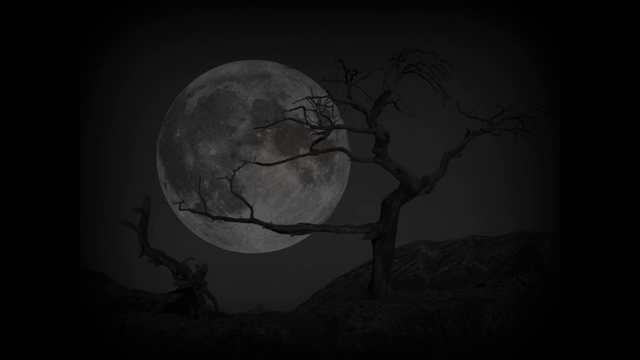 Danilo Boričić - Late Night Fantasy, No. 1