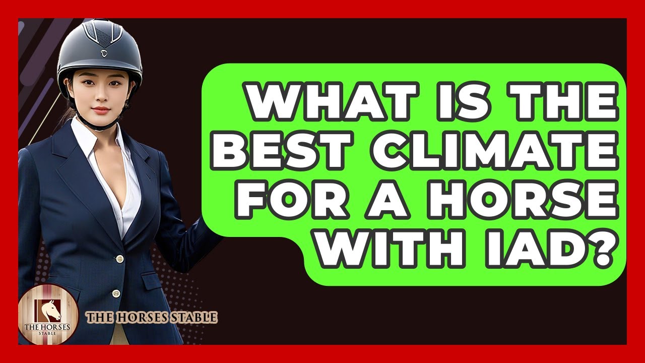 What Is The Best Climate For A Horse With IAD? - The Horses Stable