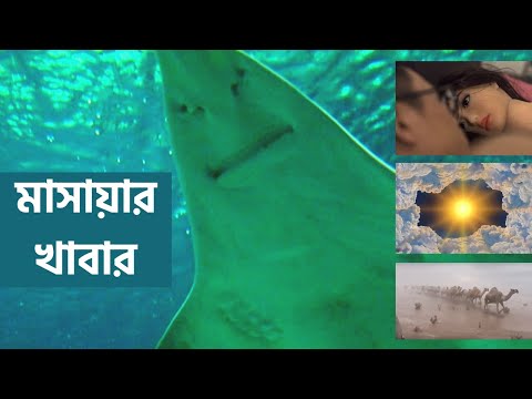 ভিডিও: মহামারীর মতো জটিল