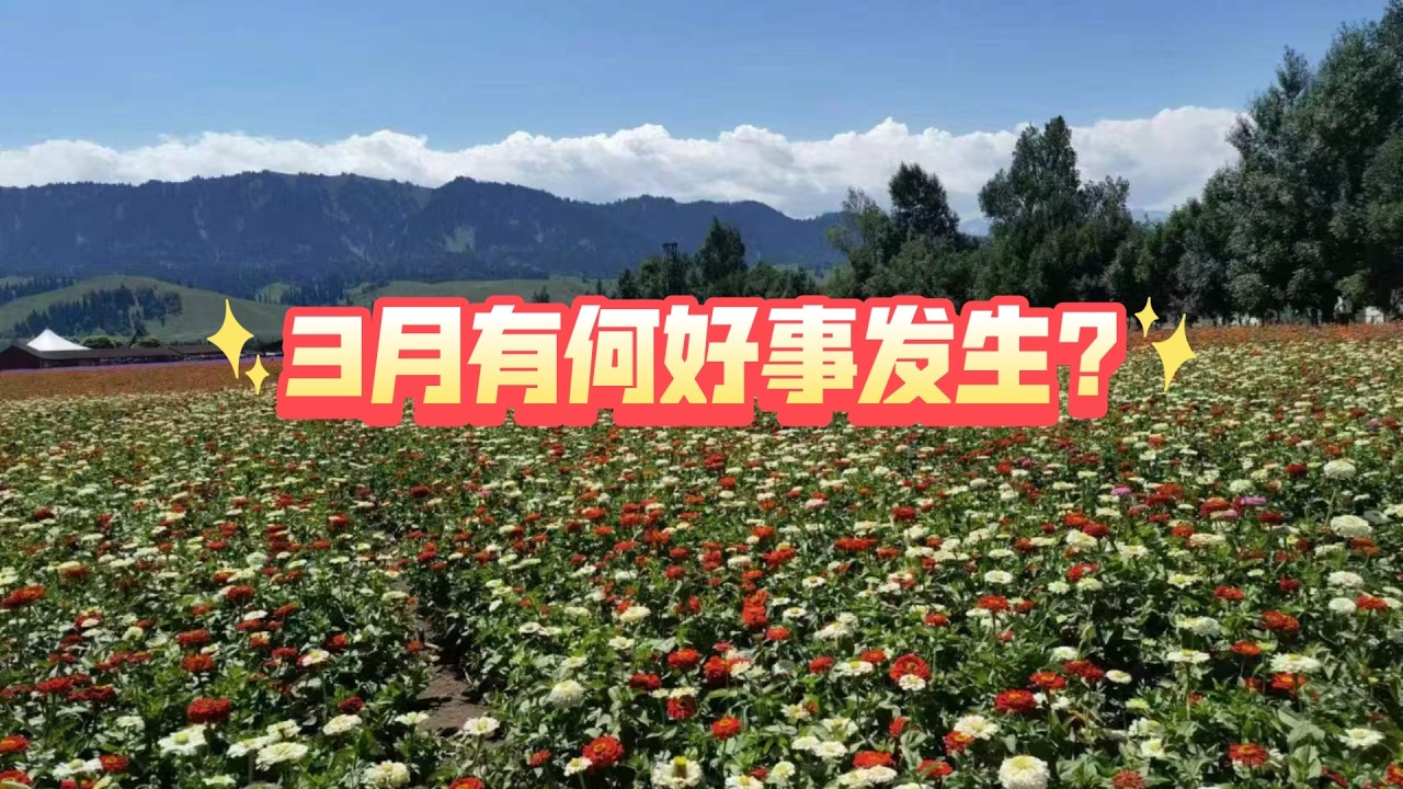 【大众占卜】3月有何好事发生?（2026）