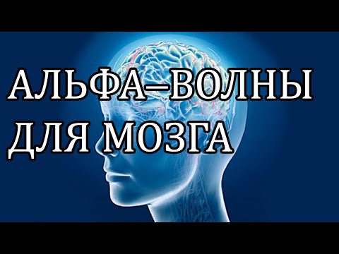 Альфа волны для работы и учебы. Альфа ритм для медитации