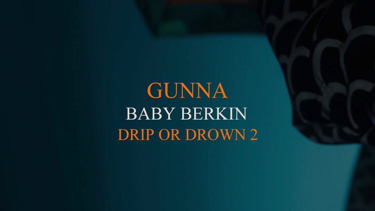 All the Birkins from Gunna's Baby Birkin Video - StockX News