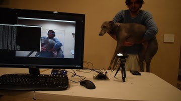 Nvidia Jetson Nano YoloV5.s Demo