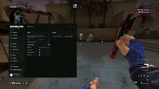 Neverlose Adaptive weapon