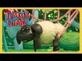 Timmy Time - Тимми пугается [Sweet Dreams Timmy]