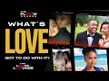 Whats love got to do with it  love lounge with nelicious